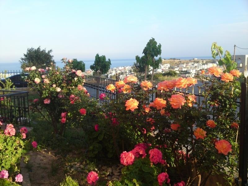 Margarita Αpartments Sea View Διαμέρισμα Παλαιοχώρα Δωμάτιο φωτογραφία